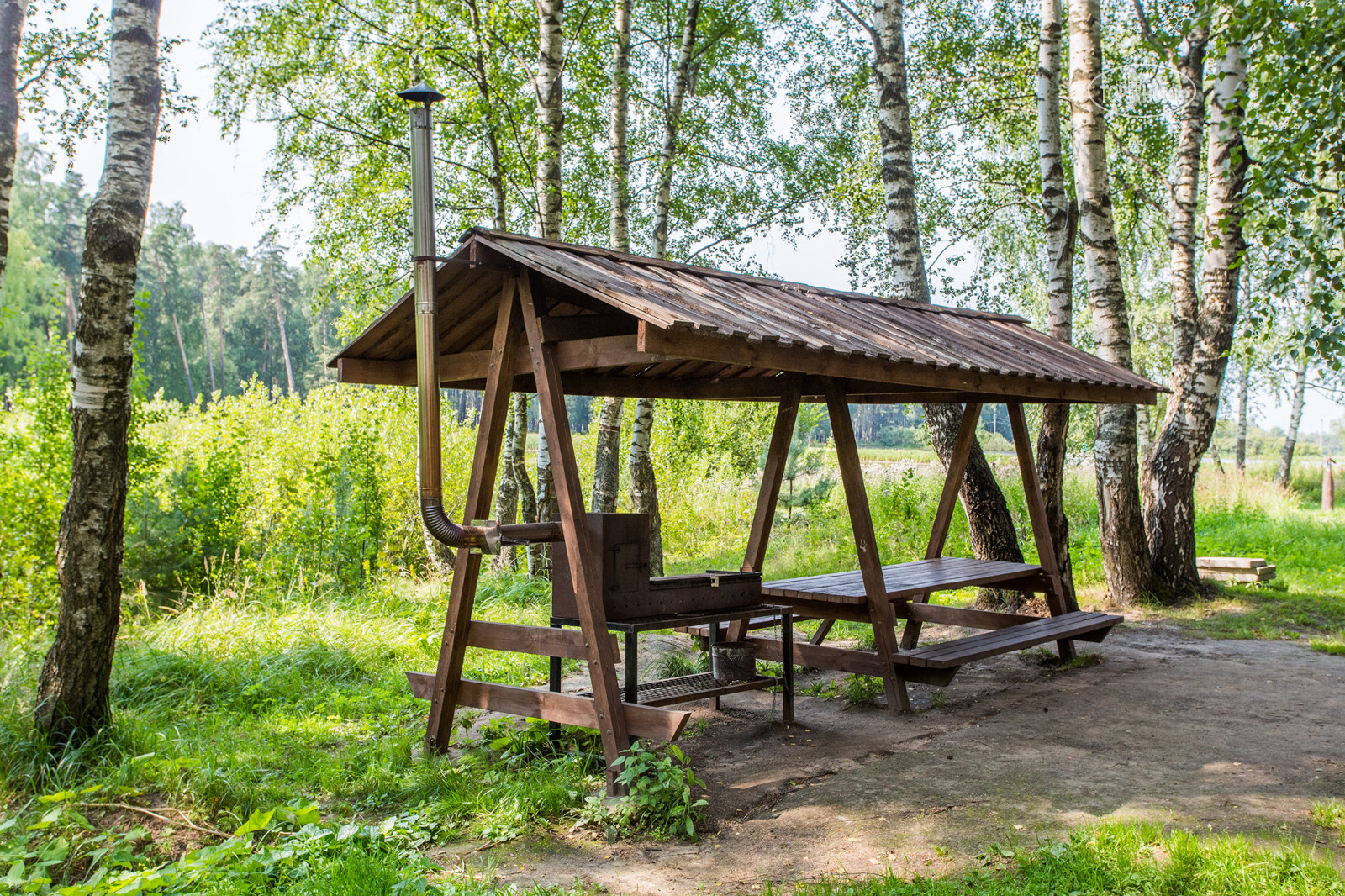 парк берендеевка кострома