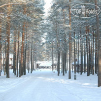 Плесков 