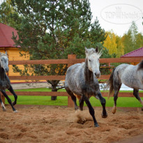 Лесное озеро (Woods Lake Resort)