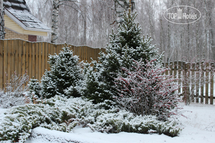New photos from tourists Yasnaya Polyana 3*