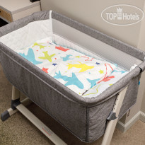 Cosmos Smart Segezha 