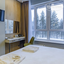 Cosmos Smart Segezha 