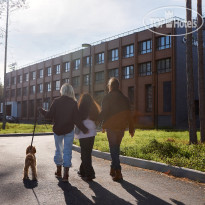 Cosmos Smart Segezha 