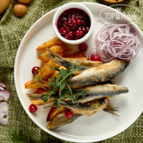 Cosmos Smart Segezha 