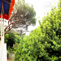 Guest House Radmir