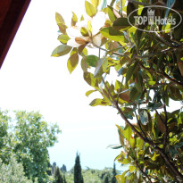 Guest House Radmir