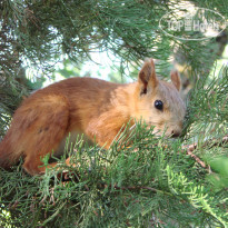 Экоотель Алые Паруса   