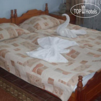Kolev Guest House