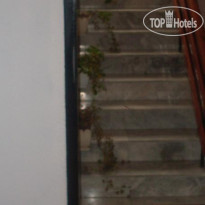 Kolev Guest House