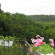 Yanakievi Guest House 
