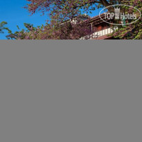 Diona House