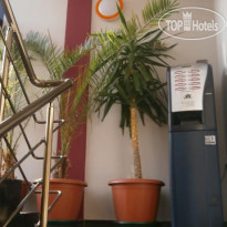 Taiti Hostel Отель