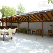 Perun