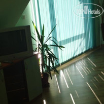 Sea View Apartments