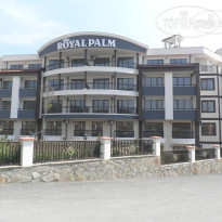 Royal Palm 