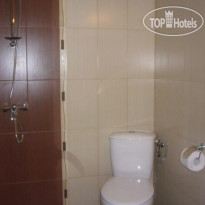 Golden Lion Hotel 