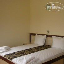 Golden Lion Hotel 