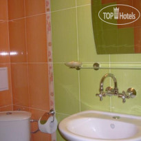 Golden Lion Hotel 