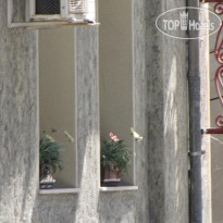 Petra Guesthouse
