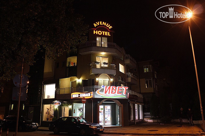 Фотографии отеля  Avenue Hotel 3*