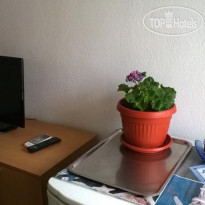 House Of Flowers