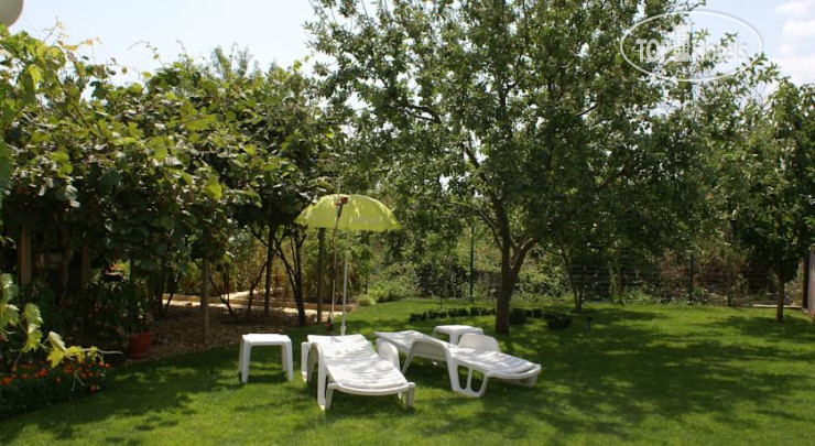 Новые добавленные фото туристов Kiwi Guest House