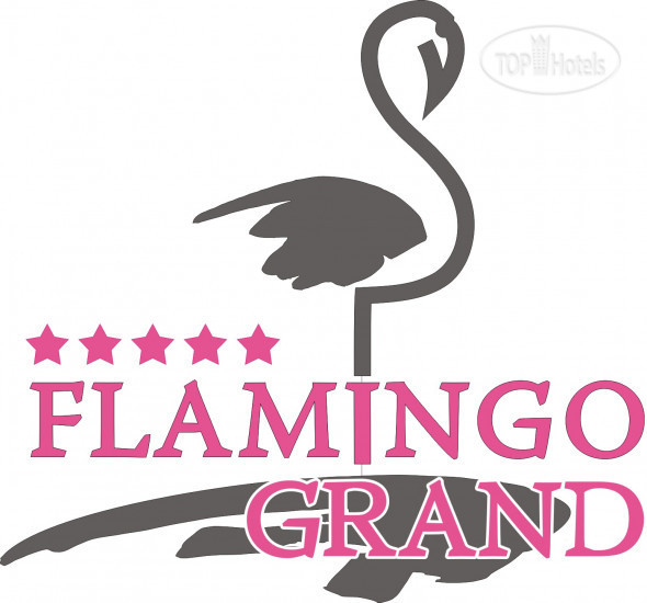 Фото Flamingo