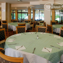 Lebed Main restaurant Lebed hotel - 