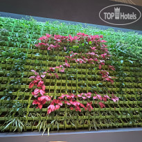 Aloft Muscat