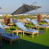 Golden Tulip Muscat 