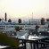 Golden Tulip Muscat 