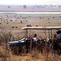 Chobe Game Lodge 