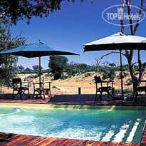 Savute Safari Lodge 