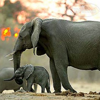 Savute Elephant Lodge, A Belmond Safari, Botswana 