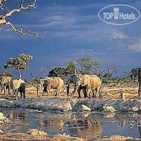 Savute Elephant Lodge, A Belmond Safari, Botswana 