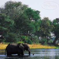 Kwando Lagoon Camp 