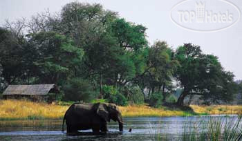 Фото Kwando Lagoon Camp