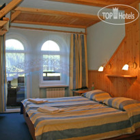 Жемчужина Карпат Standard Double Room