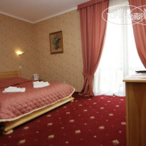 Червона Рута Standard Double Room