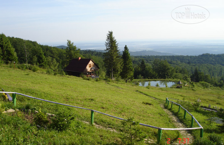 Фото Карпатские полонины