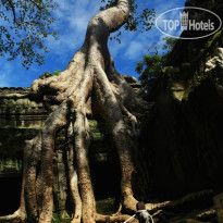 Siem Reap Bat 