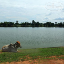 Siem Reap Bat 