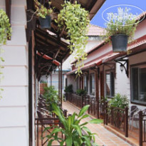 Orchidee Guesthouse 