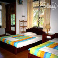 Orchidee Guesthouse 
