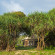 Wa Ale Island Resort 