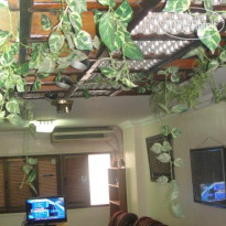Mohandeseen Small Apartment 