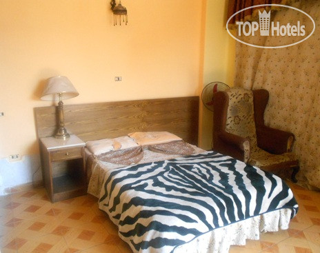Новые добавленные фото туристов Museum View Hotel