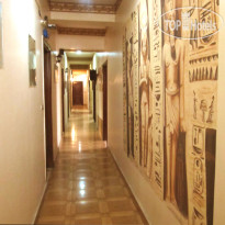 King Tut Hostel 