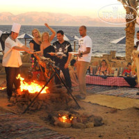 Tropitel Dahab Oasis 4*