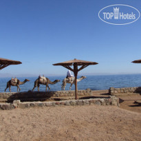 Amigo Hotel Dahab 